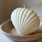 Vela Concha de Mar