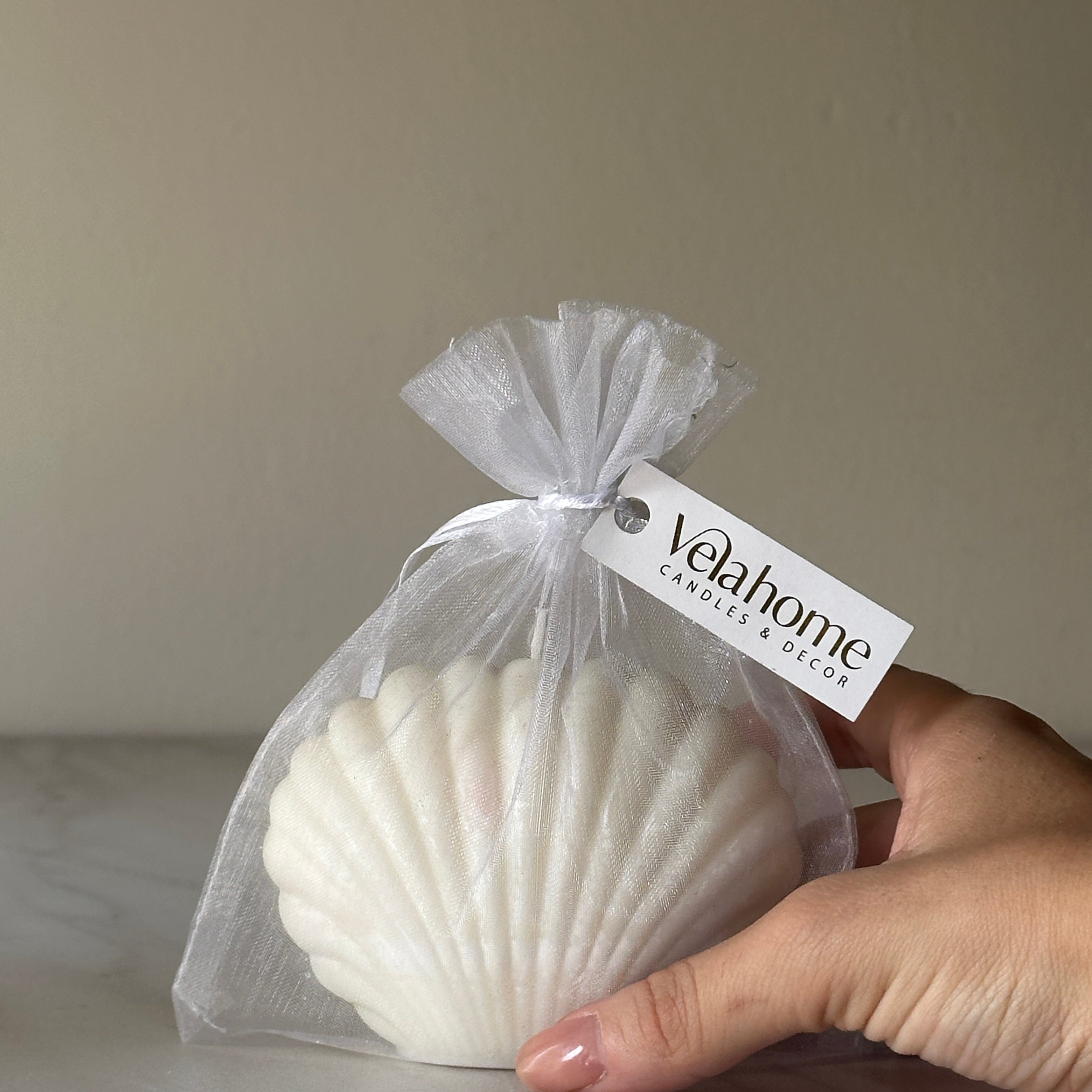Vela Concha de Mar en bolsa de organza