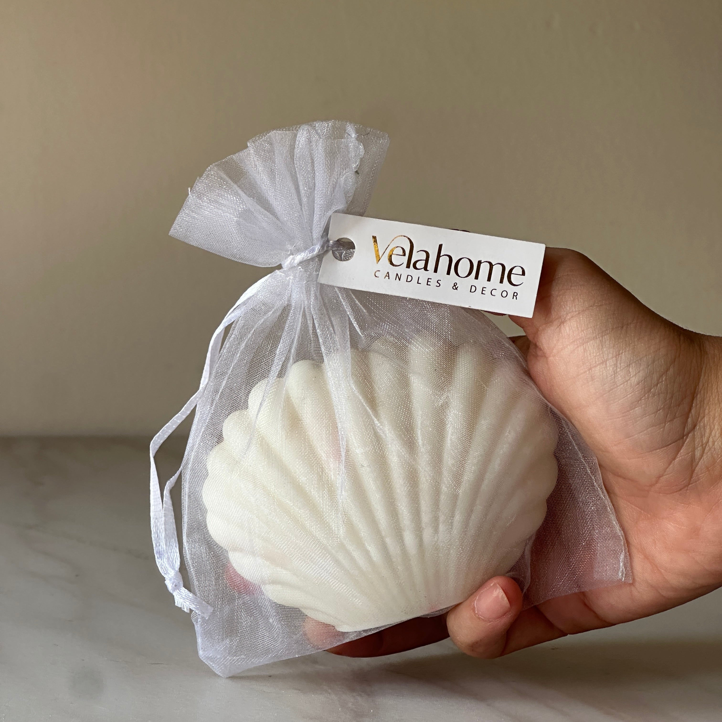 Vela Concha de Mar en bolsa de organza
