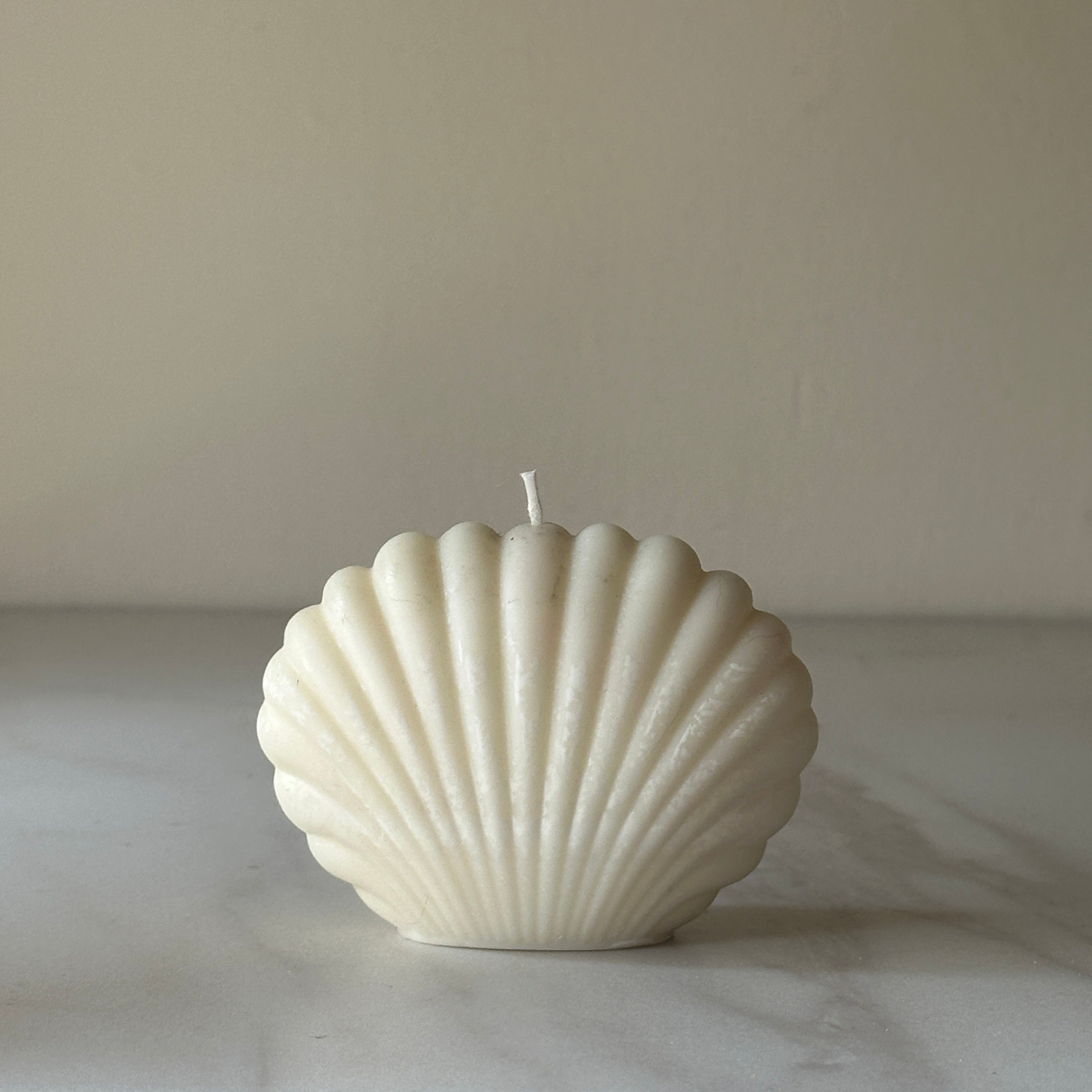 Vela Concha de Mar
