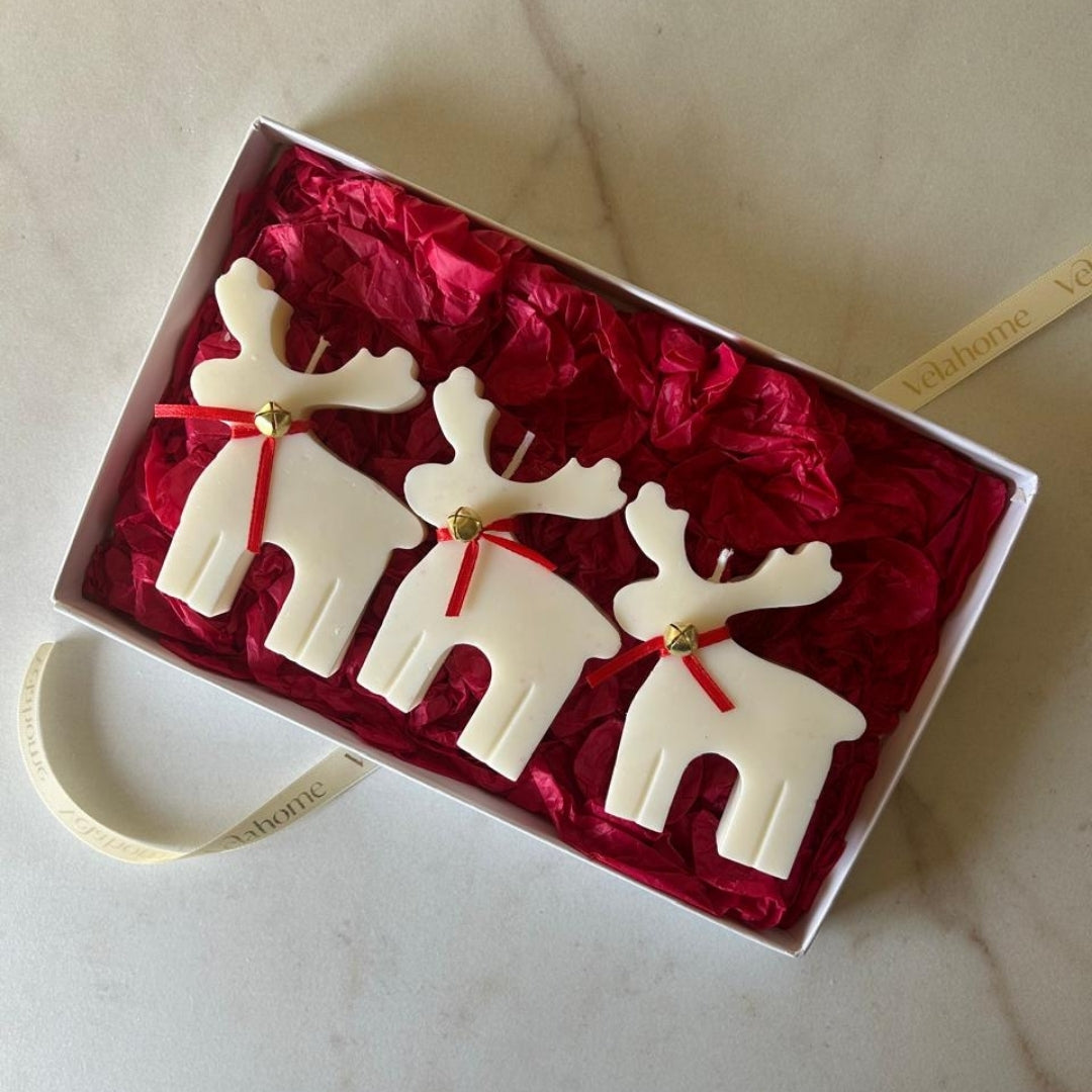 Reindeer Parade Set