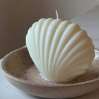 Vela Concha de Mar